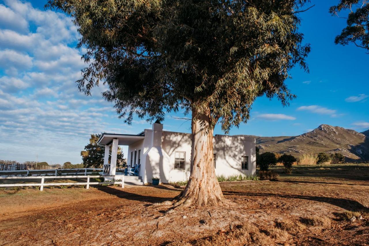 White Water Farm Guest House Stanford Bagian luar foto