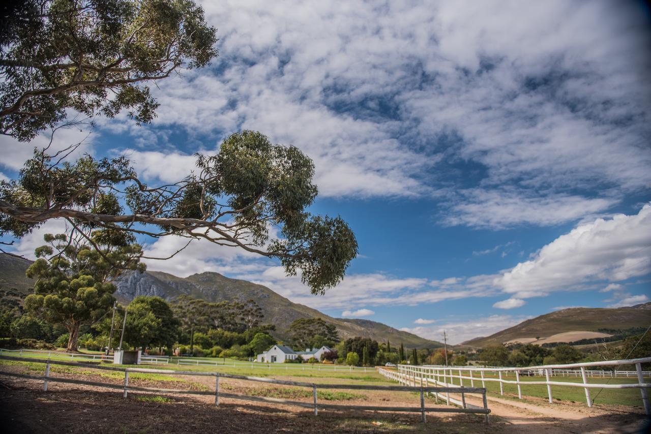 White Water Farm Guest House Stanford Bagian luar foto